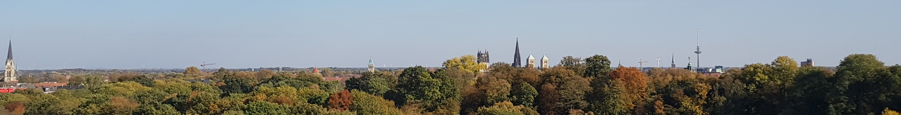 (View over Münster from the logic institute)